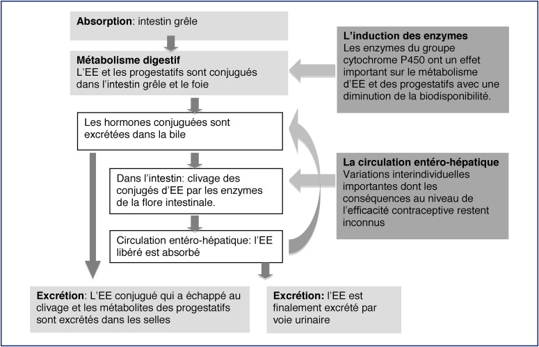 Coût du oestrogènes conjugués