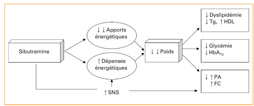 Coût du orlistat