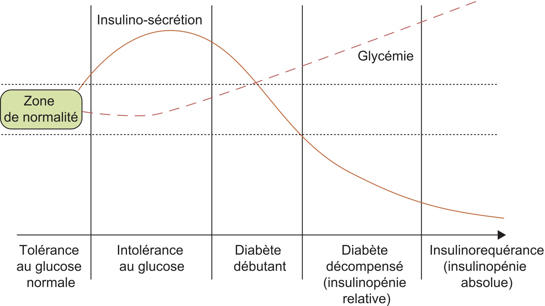 Coût metformin