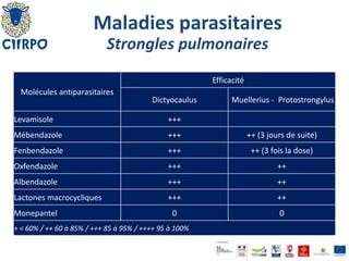 acheter mébendazole en ligne