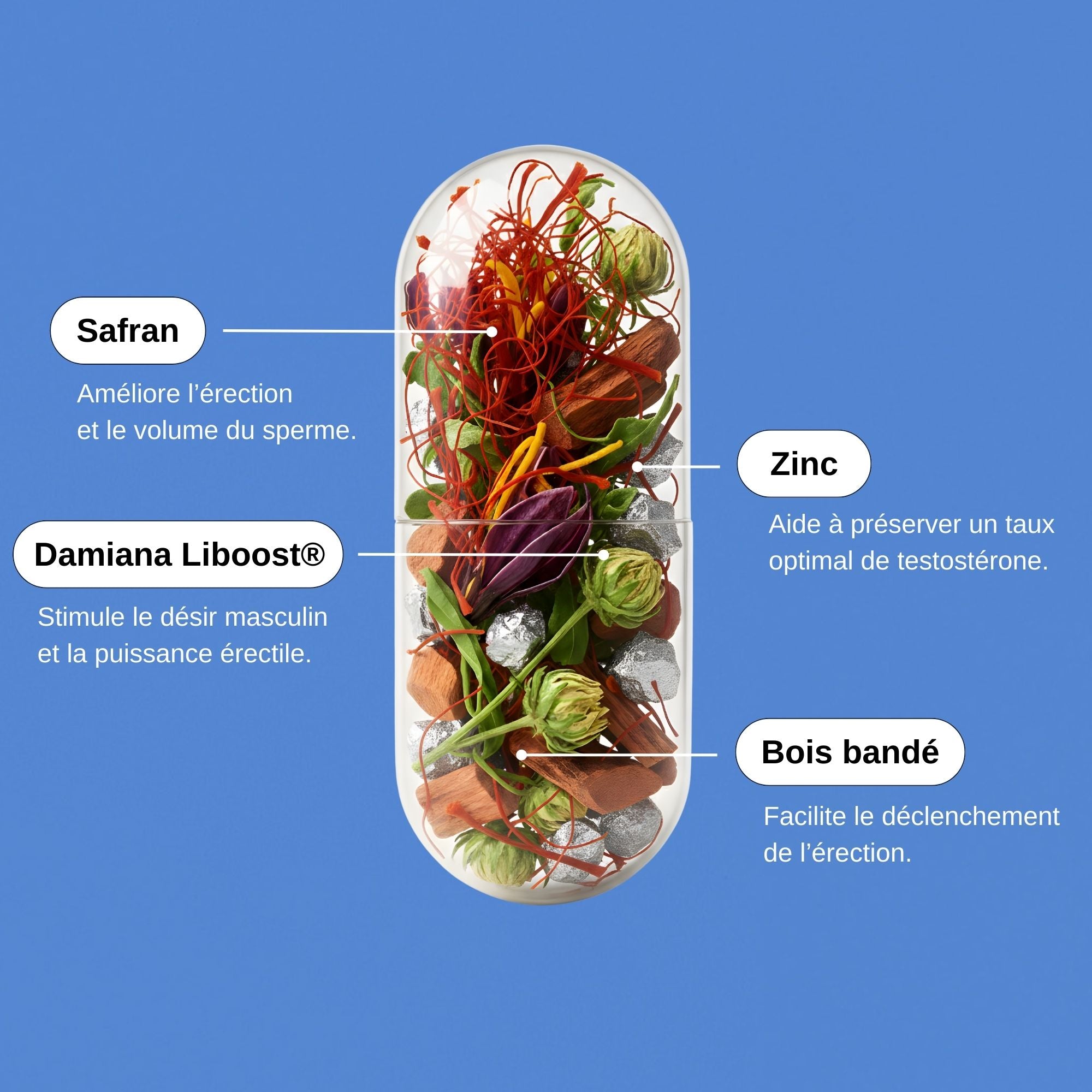 Comment acheter du erectafil