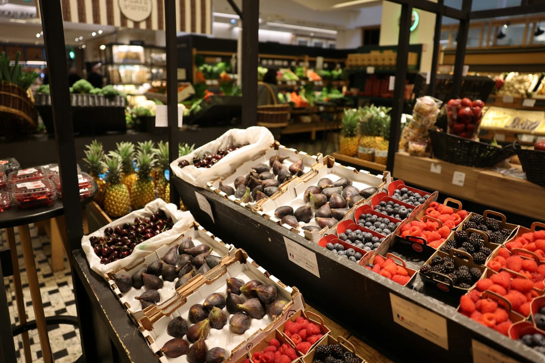 datolan bon marché