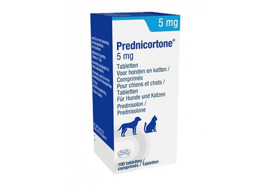 Prednisolone prix belgique