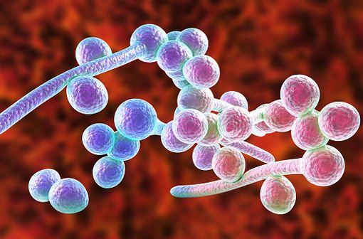 Diflucan sans ordonnance france