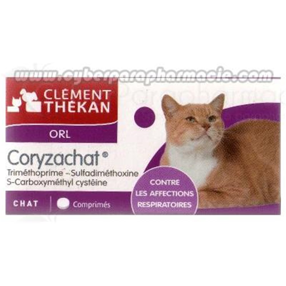 Doxycycline Chat Prix