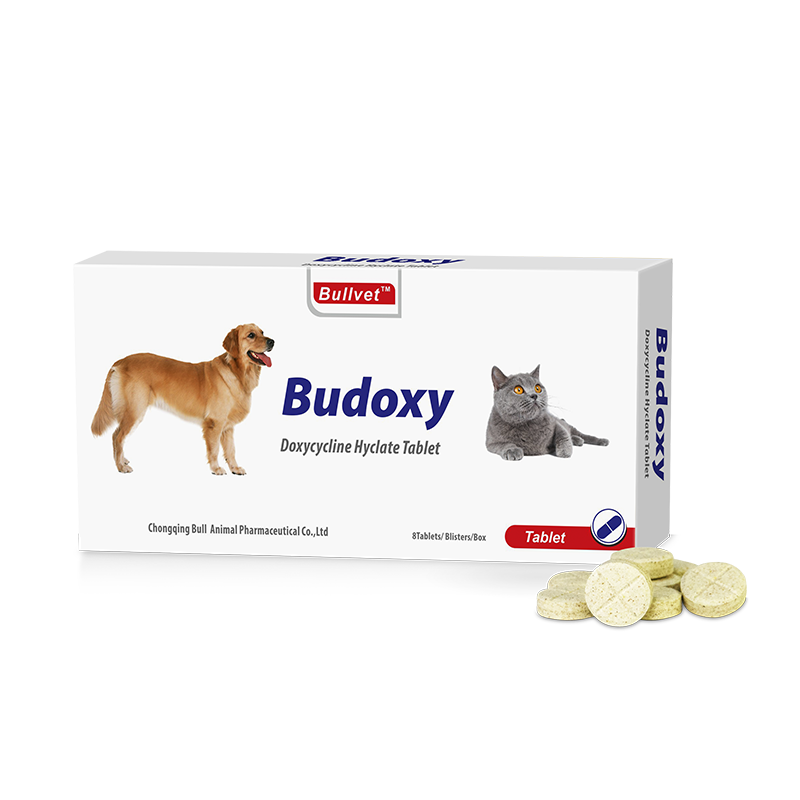 Doxycycline Chat Prix