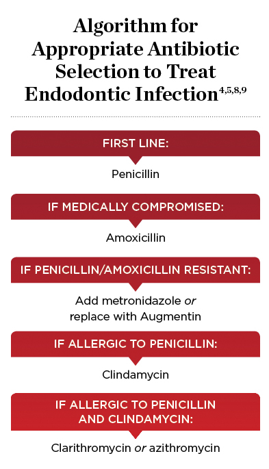 Amoxicilline Dent Prix