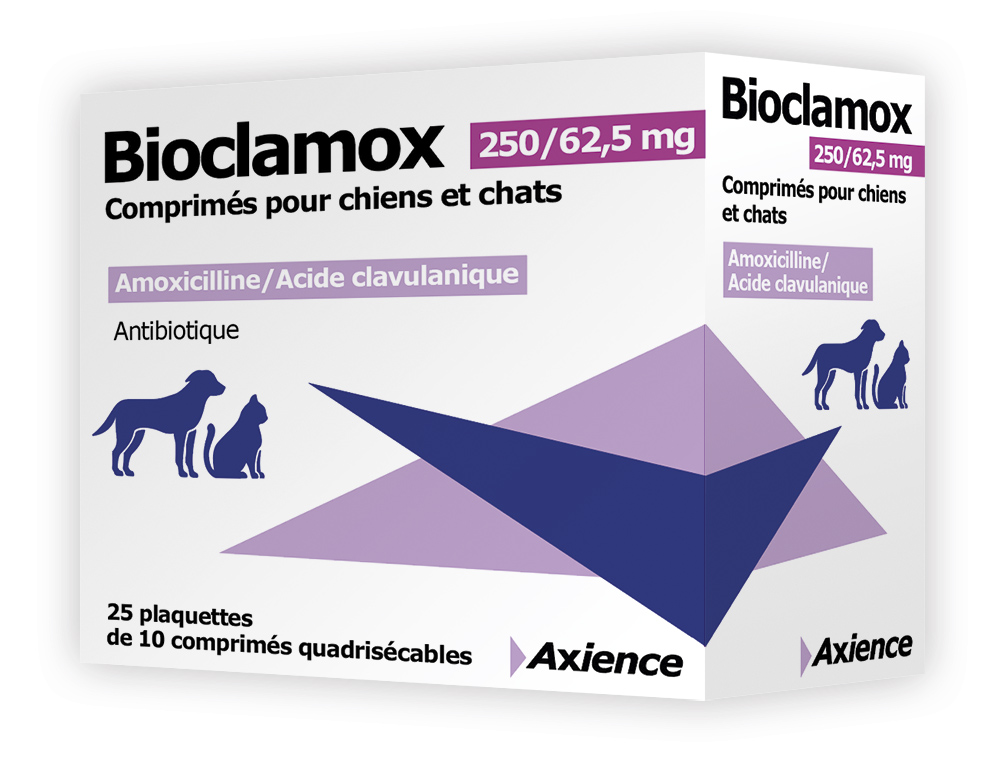 Doxycycline pour chat prix