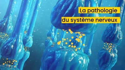 Baclofen 10 mg prix