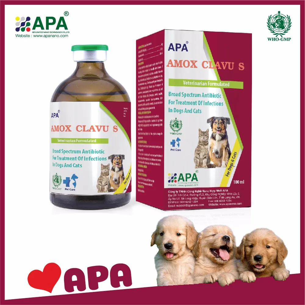 Amoxicilline chat prix