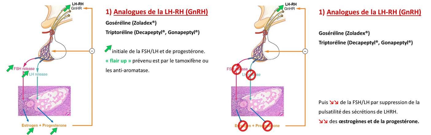 Tamoxifène Acheter