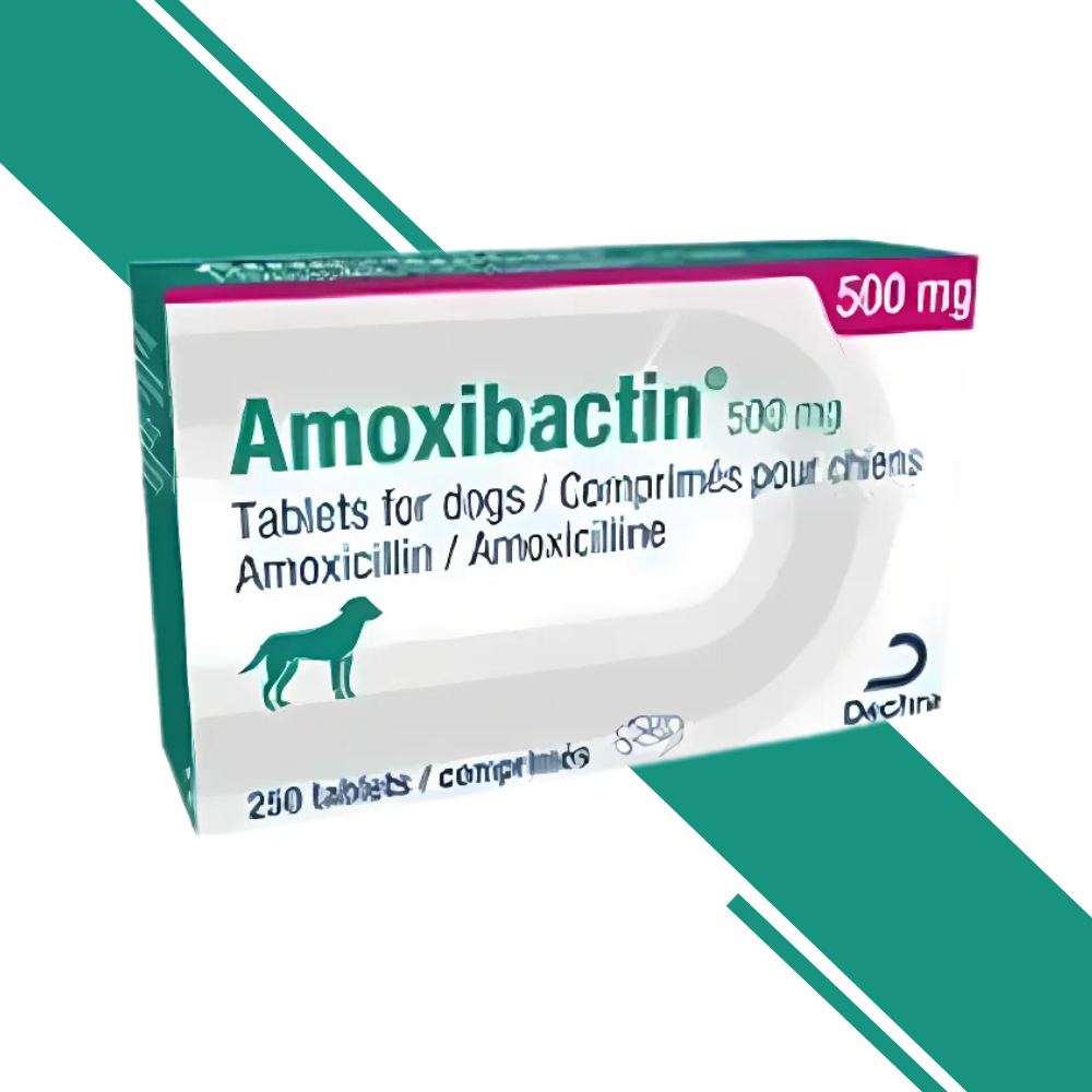 amoxicilline acheter online