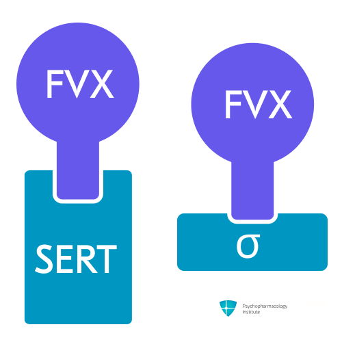 Sertraline 50mg bnf