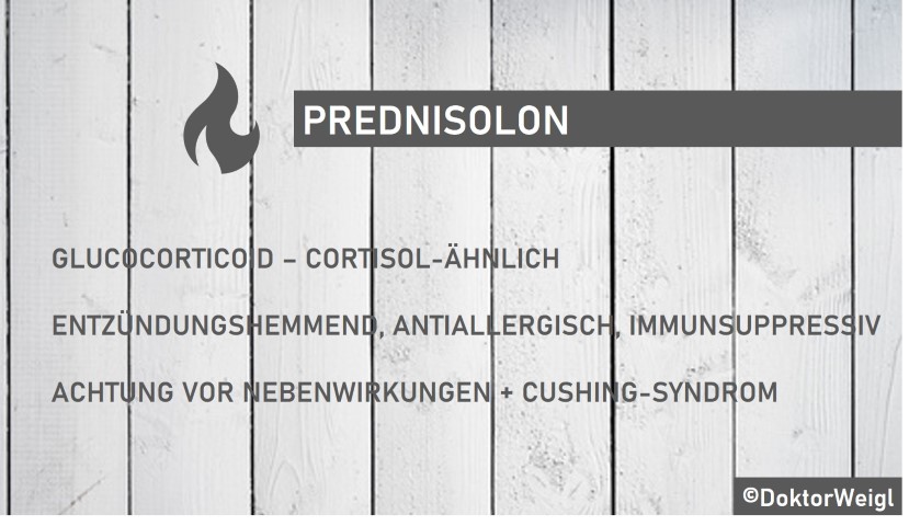 Prednisolone 20mg