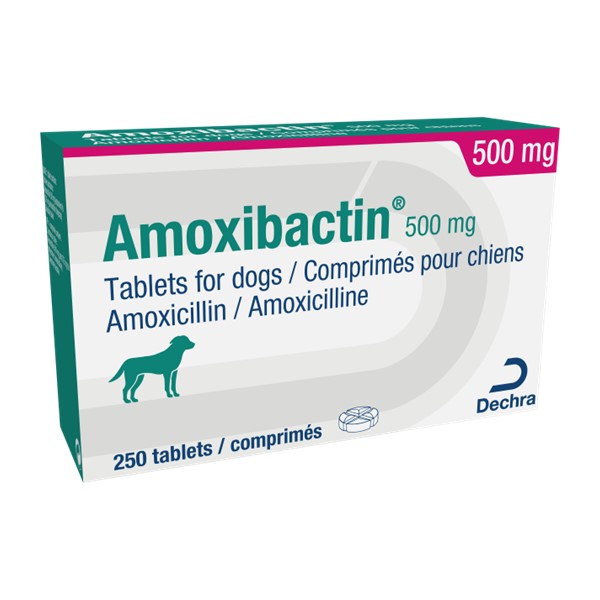 Donner Amoxicilline Sans Ordonnance