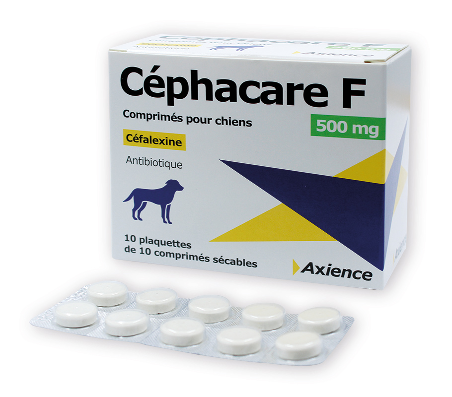 Prednisolone 20 mg chien prix