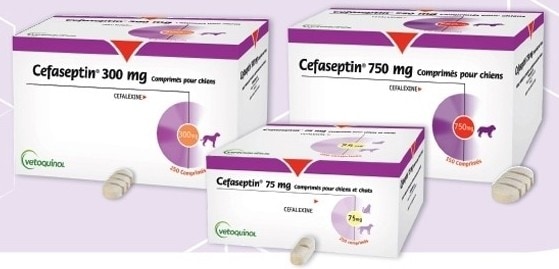 furosemide chien prix