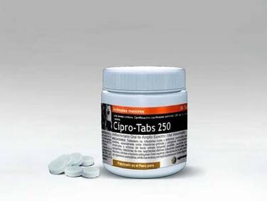Gen cipro 250 mg