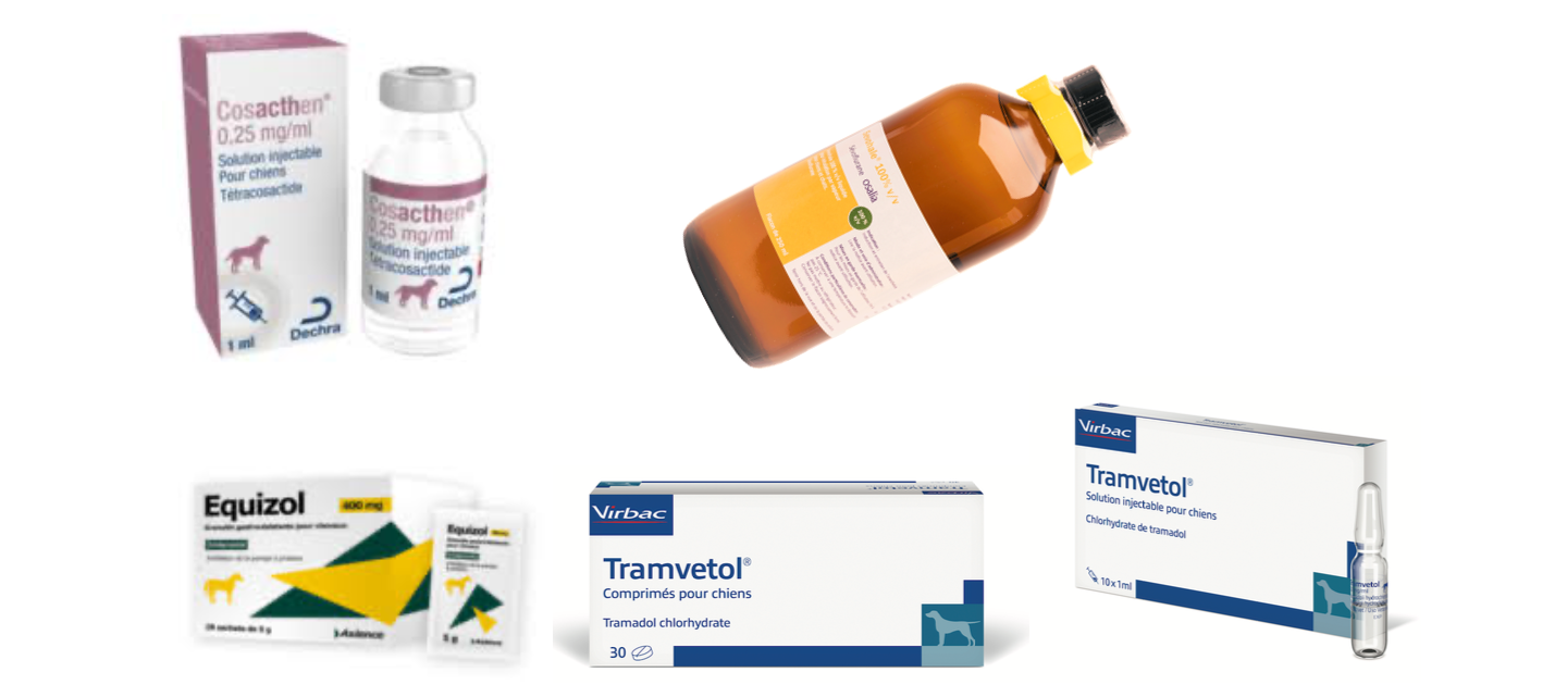 Générique de tramadol