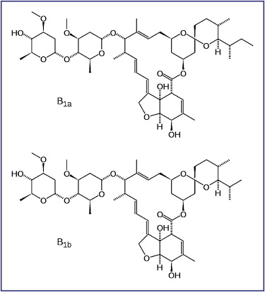 Ivermectine mylan france