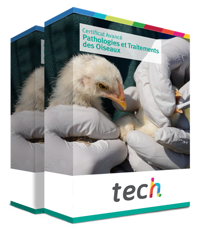 ivermectine oiseaux prix