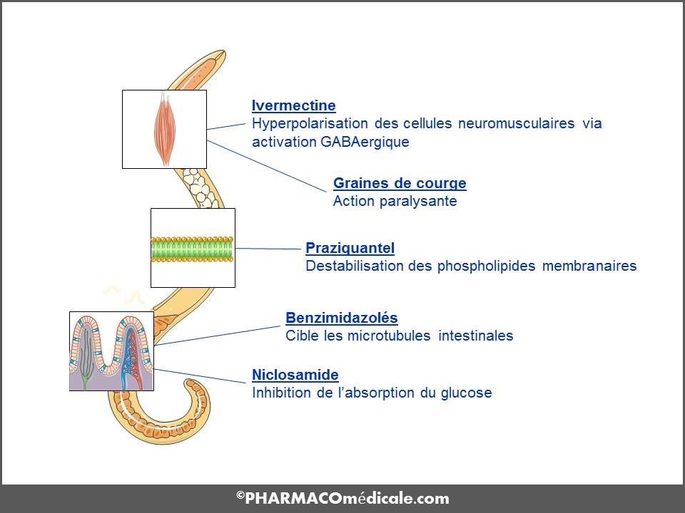 Ivermectine sans ordonnance prix