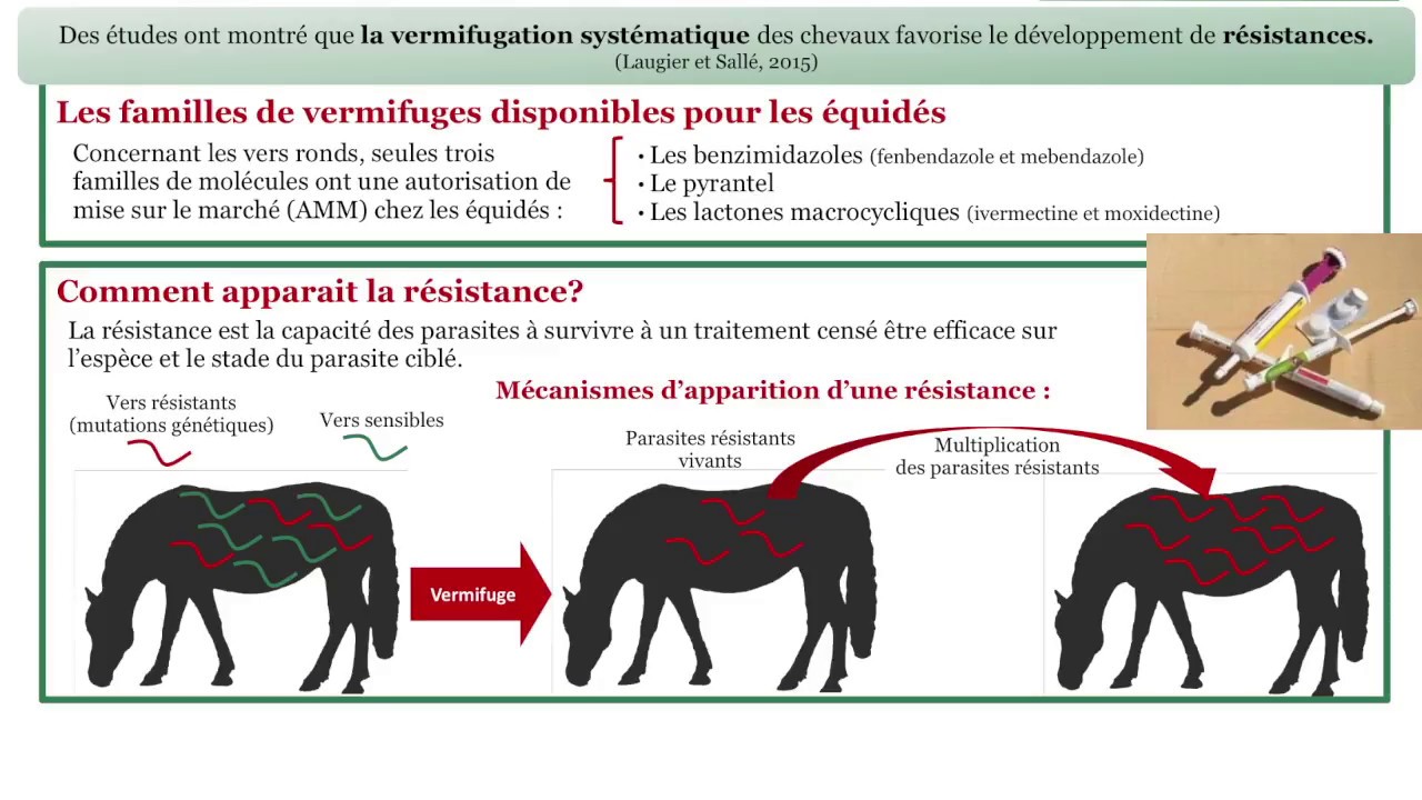 mebendazole france