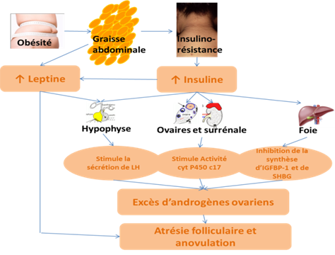 Metformine Acheter Sans Ordonnance