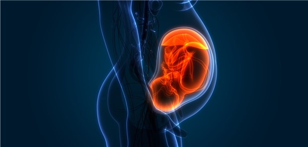 Misoprostol en ligne