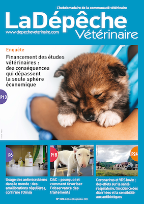 nolvadex 10 mg pour chien