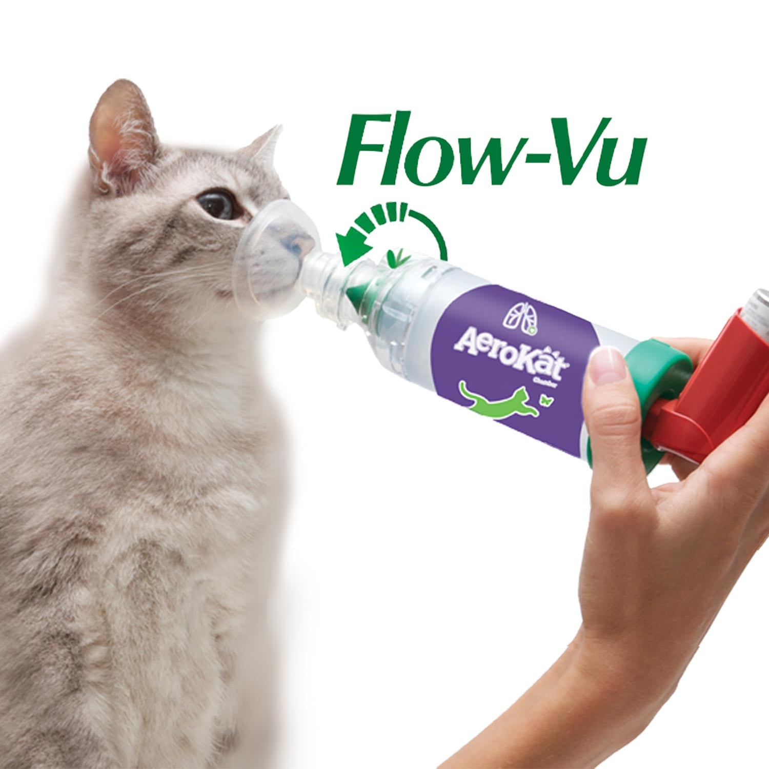 Où Acheter Du Albuterol