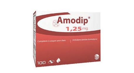Où acheter du prednisolone