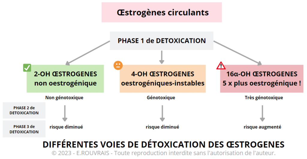 Oestrogènes conjugués pas cher