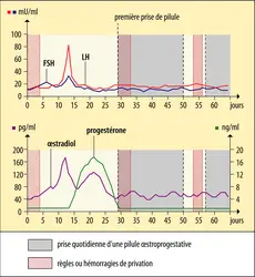 Oestrogènes conjugués pilule