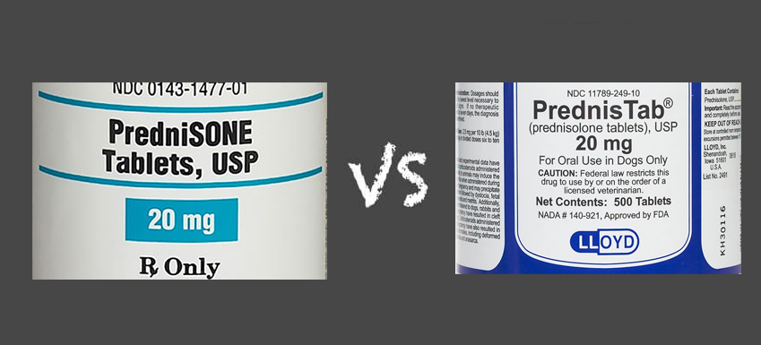 Ordre prednisolone