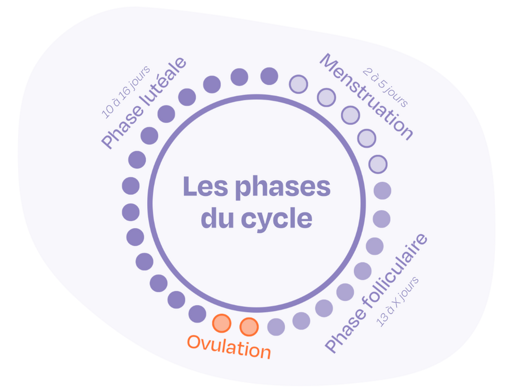 Ou Acheter Du Clomid