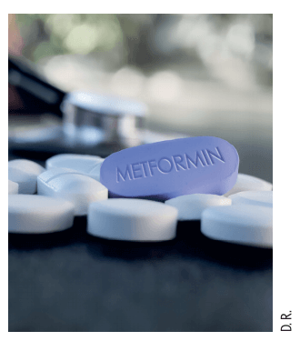 Pharmacie En Ligne Metformine