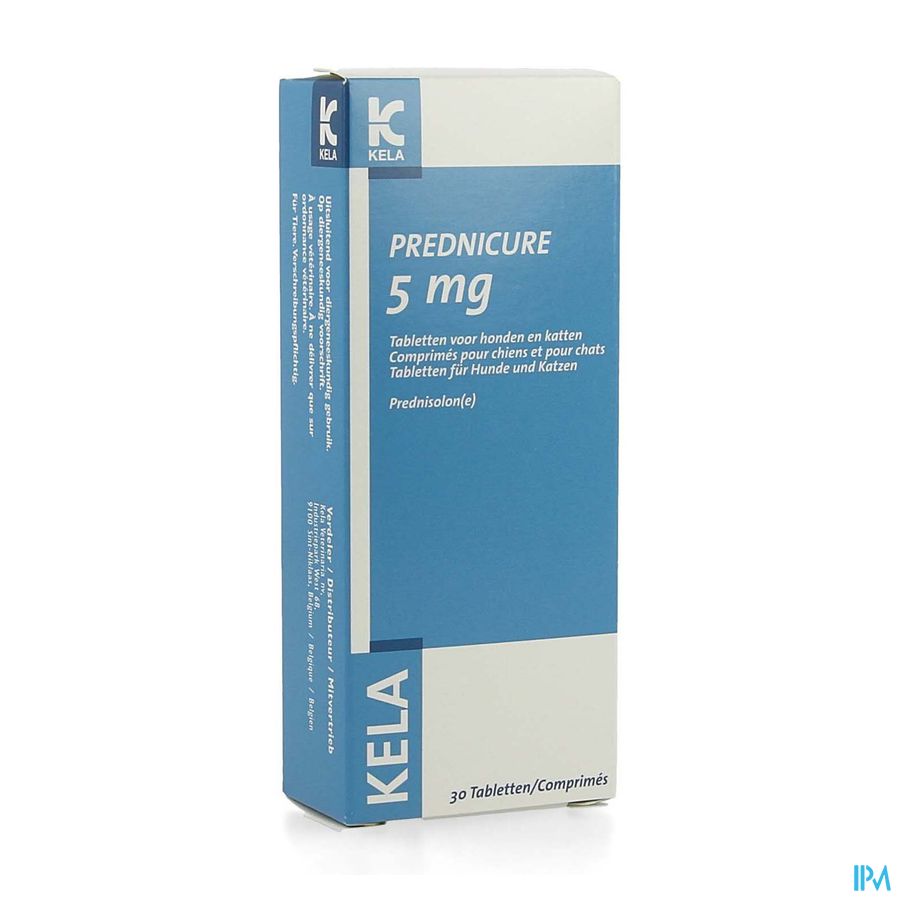 Prednisolone 20 Mg En Bain De Bouche