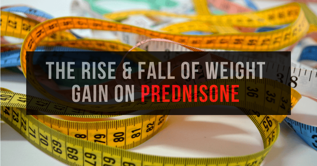 Prednisolone 20 mg pour 50 kg