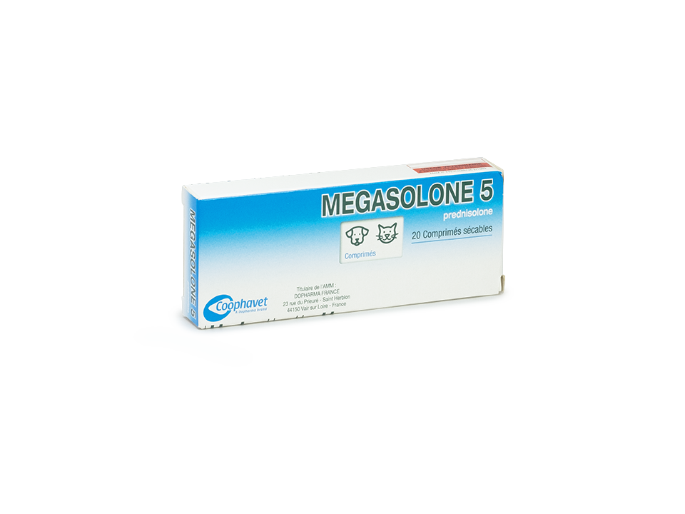 Prednisolone Générique De Quel Médicament