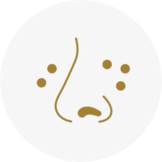 prix accutane quebec