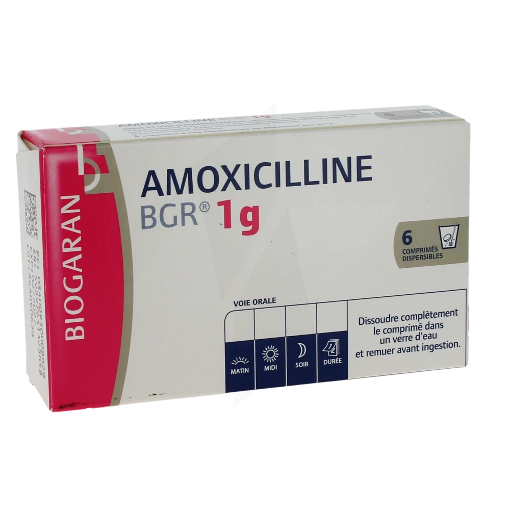 Prix amoxicilline mylan 1g