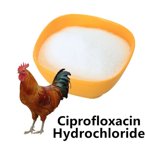 Prix pour ciprofloxacin
