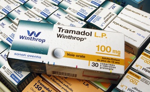 Prix Tramadol Lp