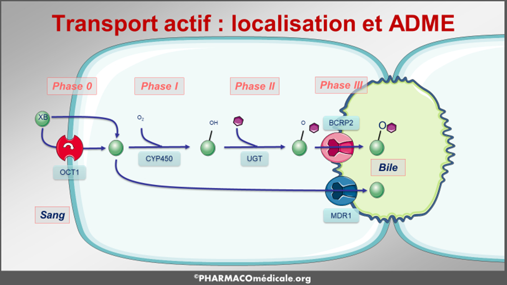 Propranolol online