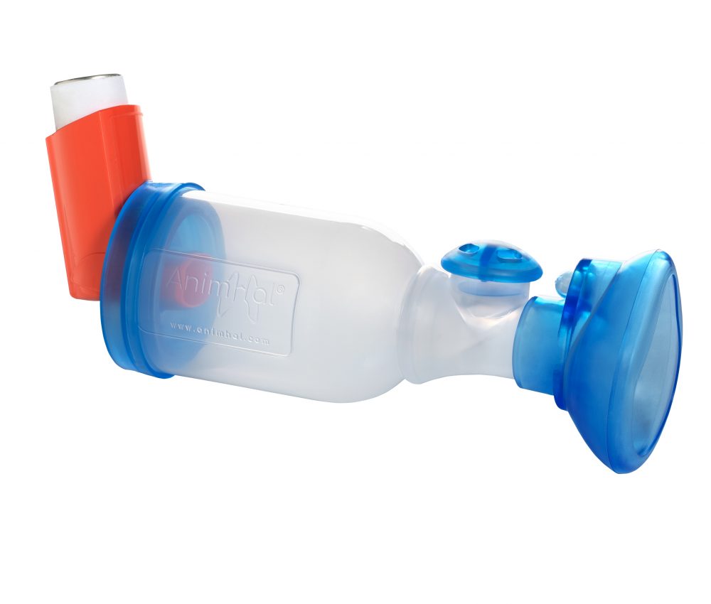 salbutamol prix france