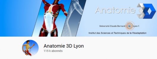 Sildigra Achat France