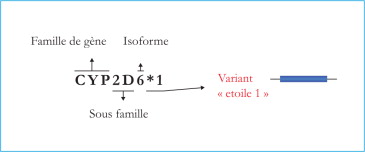 Tamoxifen prix france
