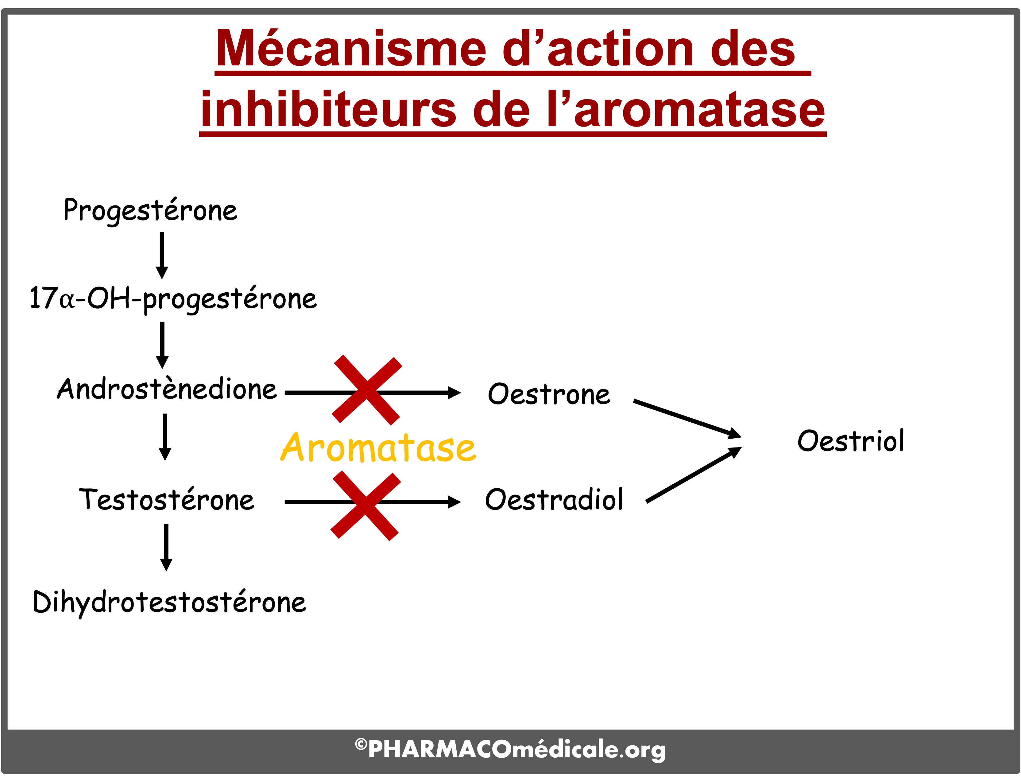 Tamoxifène bon marché